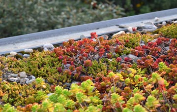 the cost of Dinas Powis green roof installation