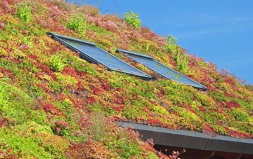 Dinas Powis living roof systems