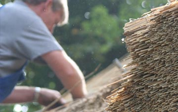 professional Dinas Powis thatchers