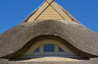Dinas Powis thatch roofing